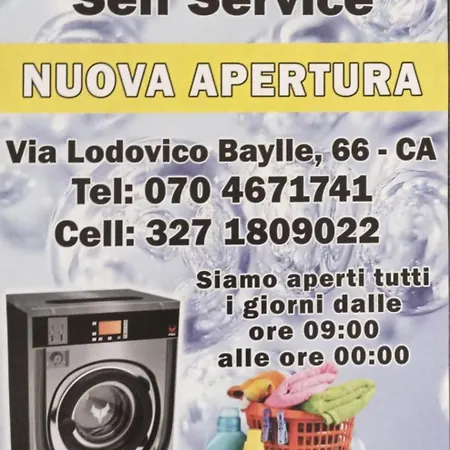 Orchidea Stanza Privata In Condiviso 